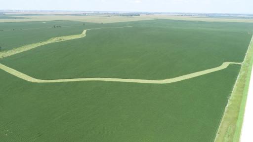 xxx County Rd 1, Spring Valley, MN 55975