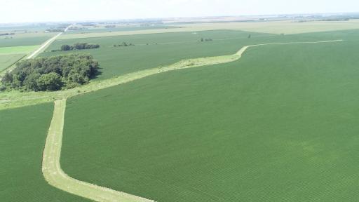 xxx County Rd 1, Spring Valley, MN 55975