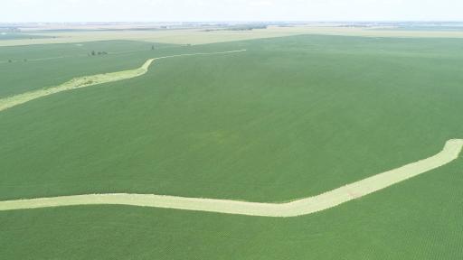 xxx County Rd 1, Spring Valley, MN 55975