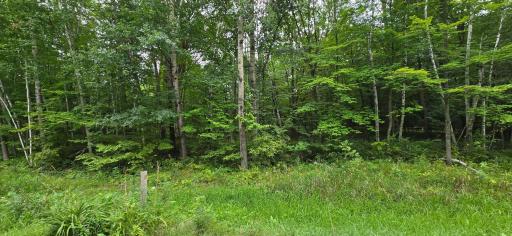 View from the street to your new home site!
