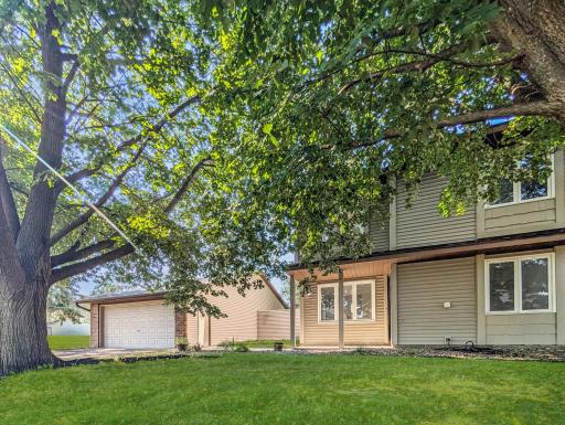 Tree coverage provides cool shade in the summertime.