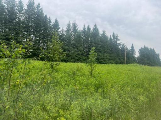 XXX 210th Street, Milaca, MN 56353