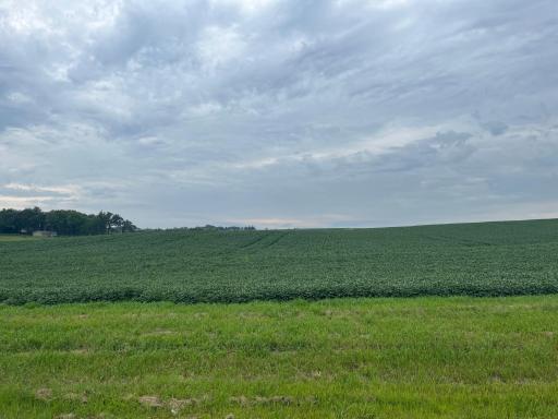 XXXX Valleyhigh Road NW, Rochester, MN 55901