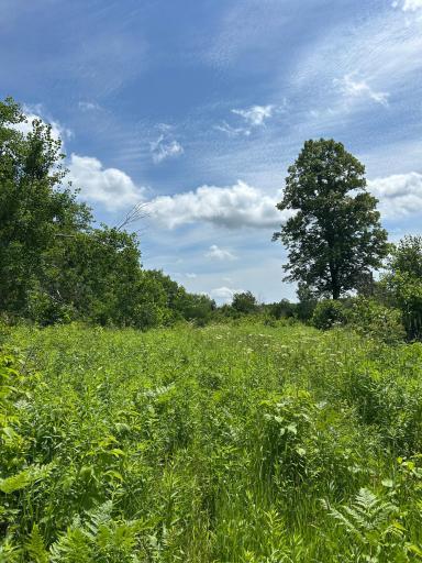 TBD Duncan Road, Sandstone, MN 55072