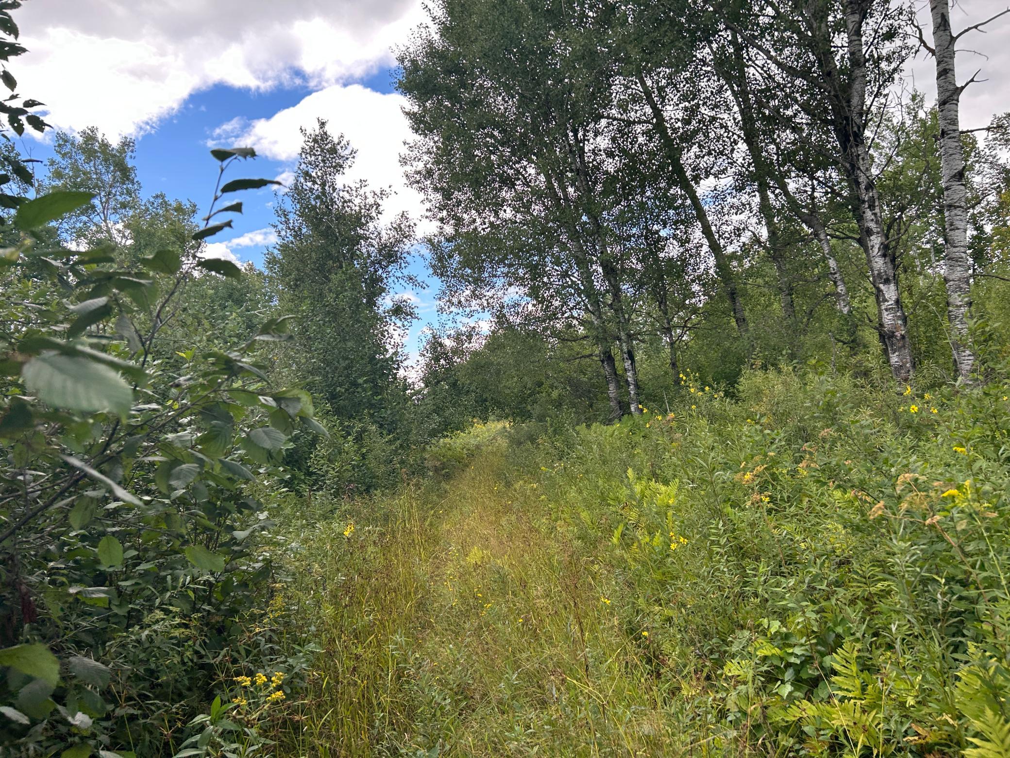 Trail in to property from second parcel