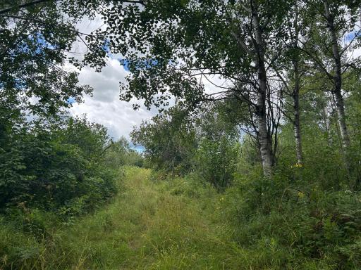 TBD Duncan Road, Sandstone, MN 55072