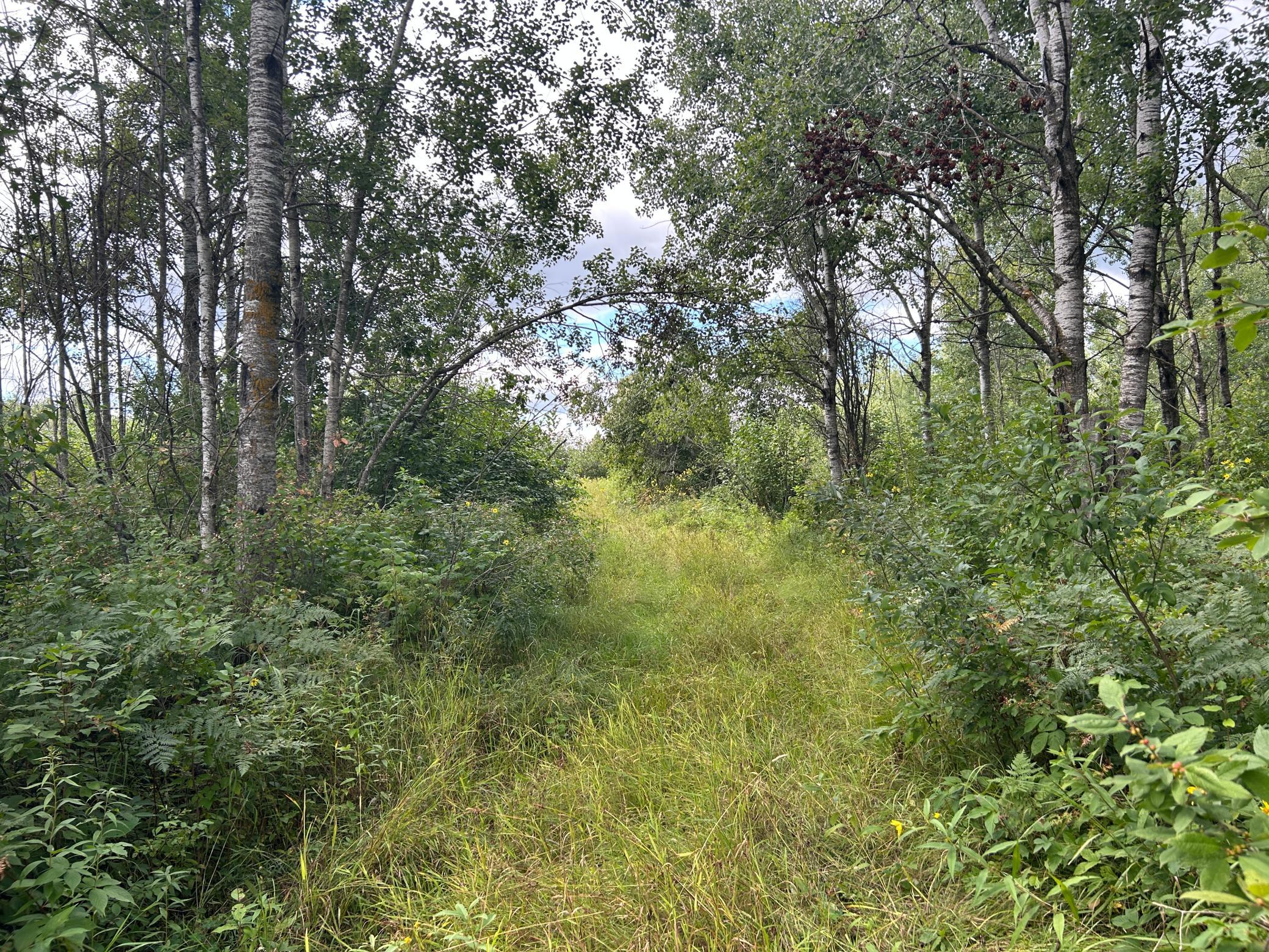 Clear trail in