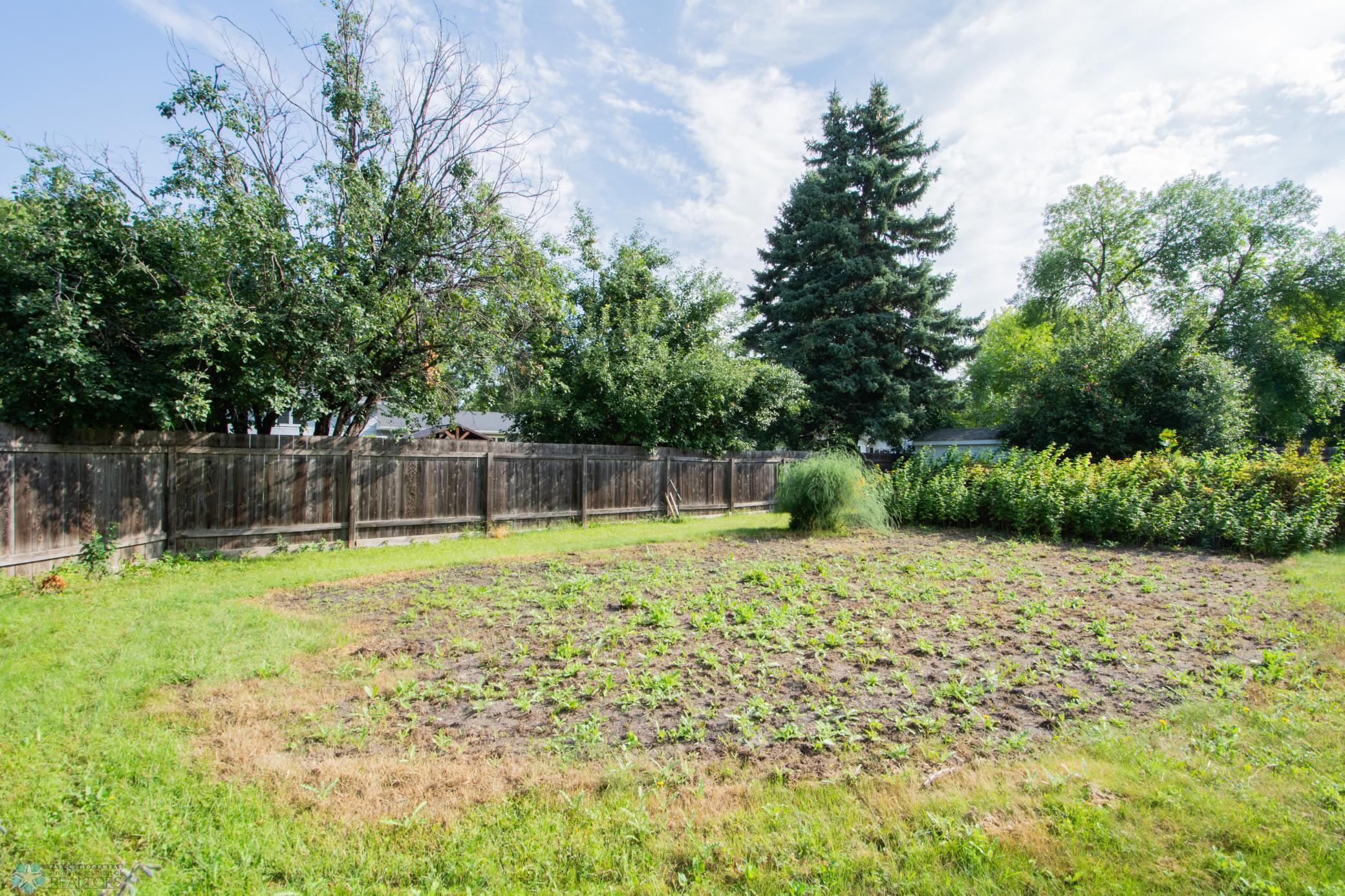 Huge Backyard