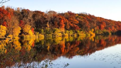 Photo 83