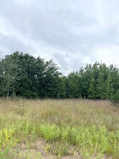 17187 62nd Street SE, Becker, MN 55308