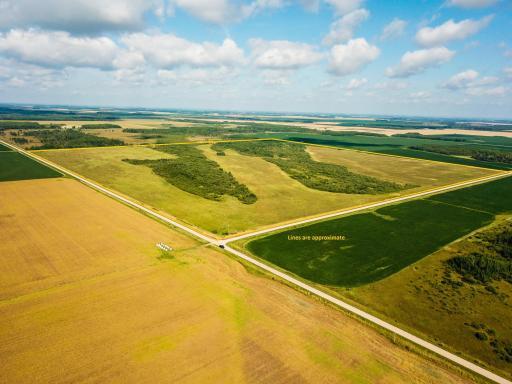 TBD 220th Avenue, Badger, MN 56714