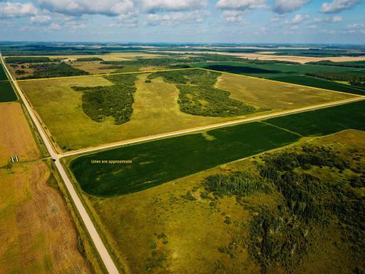 TBD 220th Avenue, Badger, MN 56714