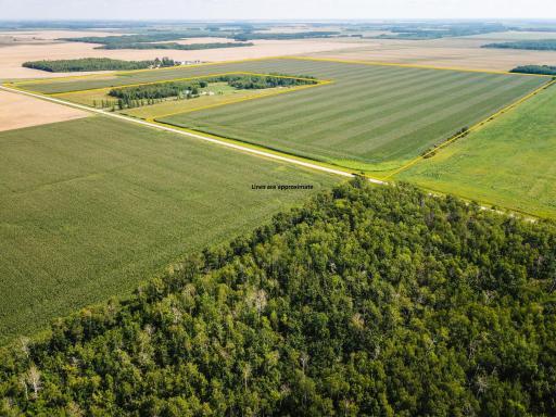 TBD 330th Avenue, Badger, MN 56714