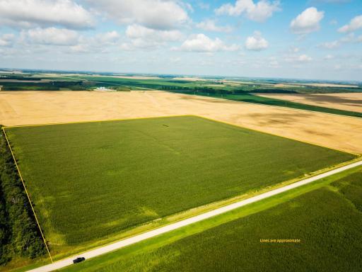 XXXX 330th Avenue, Badger, MN 56714