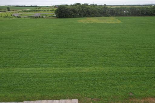 17145 Townline Circle, Pelican Rapids, MN 56572