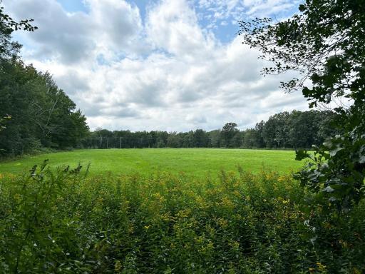 TBD 37th Avenue SW, Pequot Lakes, MN 56472