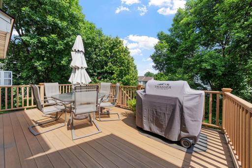 13554 Aspen Drive, Rogers, MN 55374