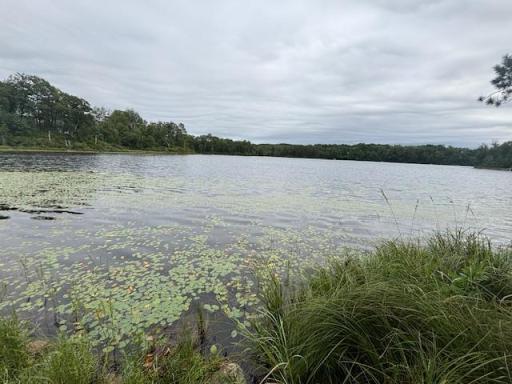 TBD Andrus Lake Trail NE, Outing, MN 56662