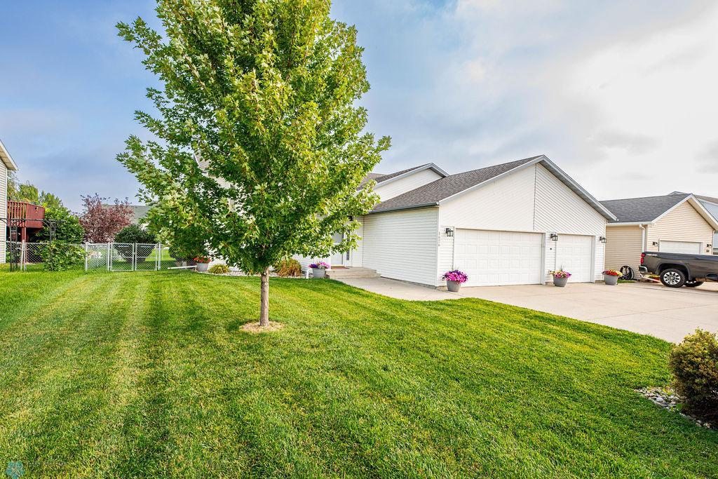 Front Yard