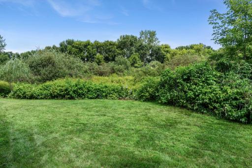 The backyard offers plenty of green space to enjoy.