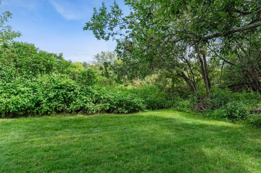 The backyard offers plenty of green space to enjoy.