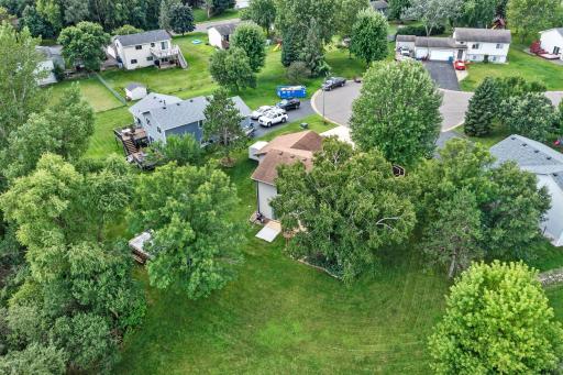 This quiet neighborhood is marked with mature trees, offering both shade and privacy.