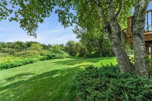 The backyard offers plenty of green space to enjoy.