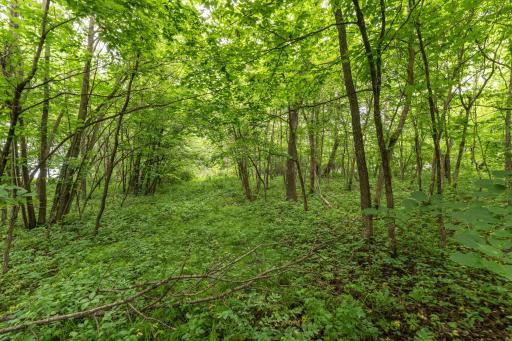 30xxx West Point-105.jpg