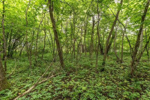 30xxx West Point-107.jpg