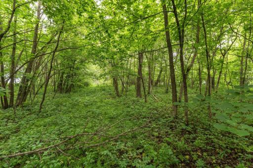 30xxx West Point-106.jpg