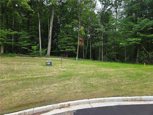 1457 Sykora Lane, Boyceville, WI 54725