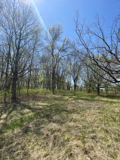 TBD Stark Road, Harris, MN 55032