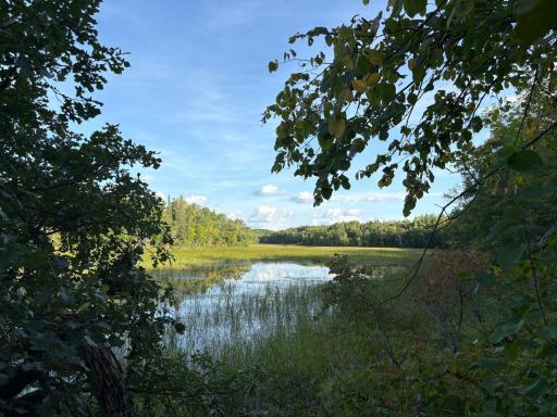 Silver Creek south view