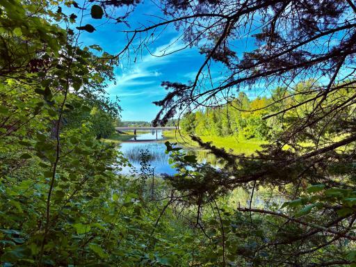 View of the bridge from the property