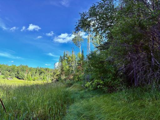 Shoreline on north side