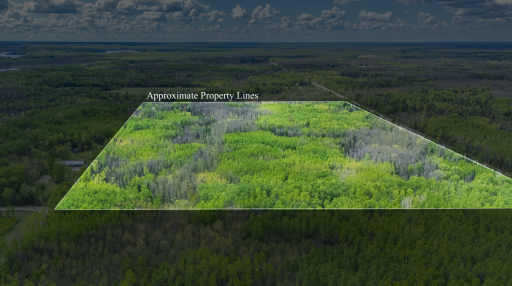 TBD Northwind, Marcell, MN 56657