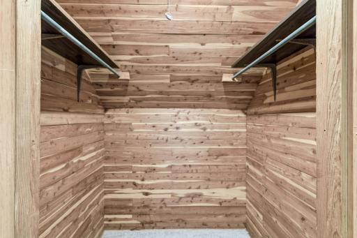 Upstairs walk in closet