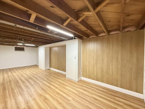 buch basement 1 jpg.jpg