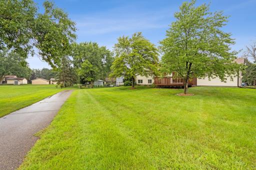 Walking trails to the side and back of home.