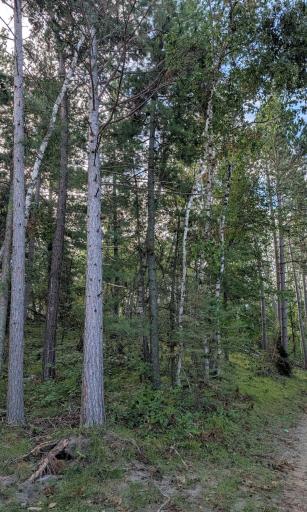 TBD Birch Run Lane, Bemidji, MN 56601