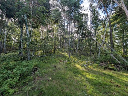 TBD Birch Run Lane, Bemidji, MN 56601