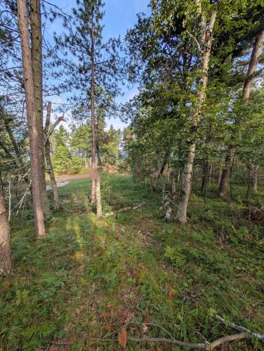TBD Birch Run Lane, Bemidji, MN 56601