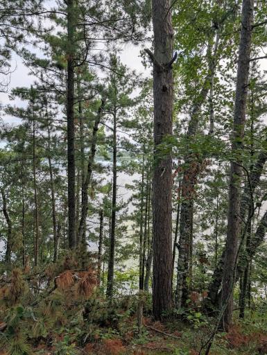 TBD Birch Run Lane, Bemidji, MN 56601