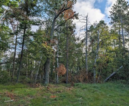 TBD Birch Run Lane, Bemidji, MN 56601