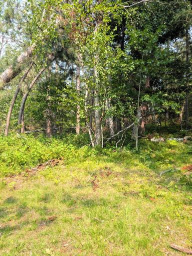 TBD Birch Run Lane, Bemidji, MN 56601