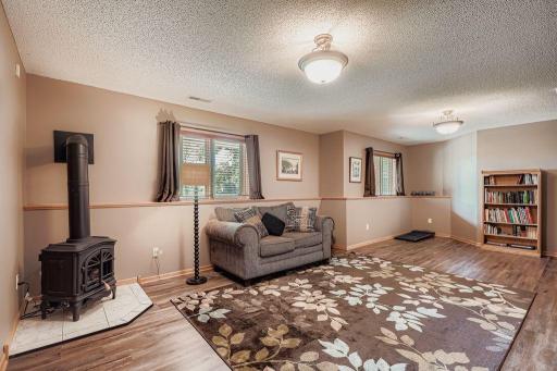 Lower level family room with windows facing the back yard and the stove for winter warmth
