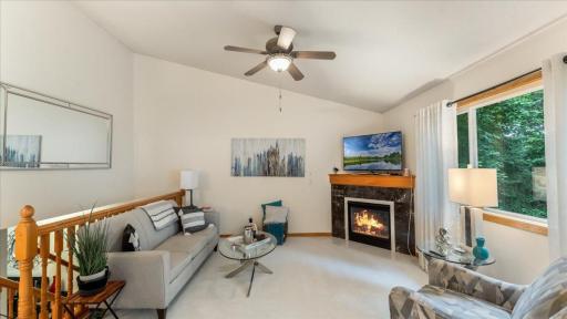 Vaulted main level living room