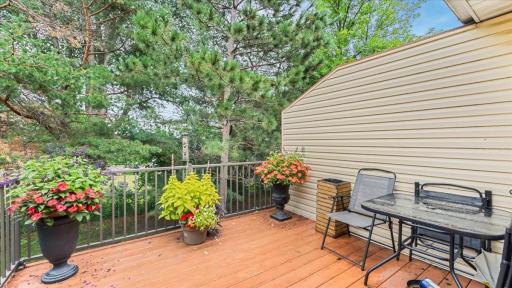 Private newer deck backing to evergreen trees