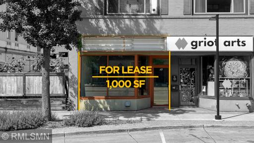 113 Broadway Avenue N, Rochester, MN 55906