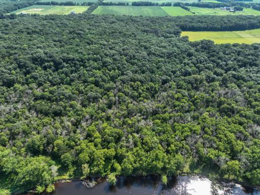 Lot 7 180th Avenue, Mondovi, WI 54755